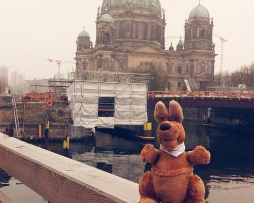 Ringo_Berlin.jpg: Ringo in Berlin