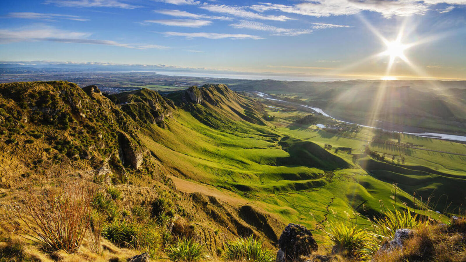 Gaph Neuseeland Asure 