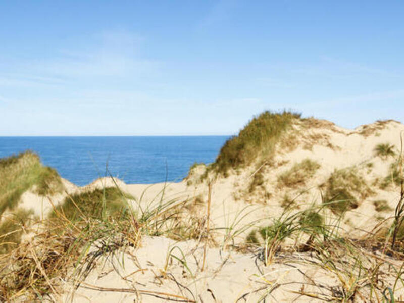 Erleben Sie HeimatGenuss in Dänemark
